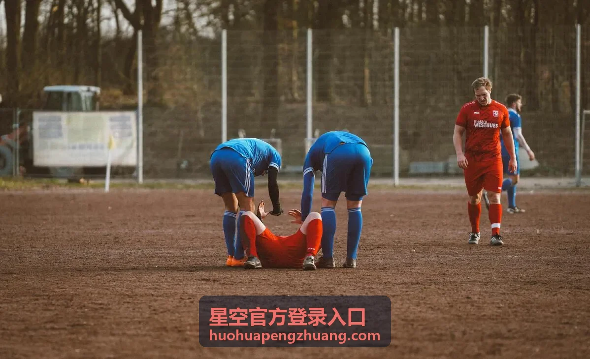 星空官方登录入口网页端通道示意