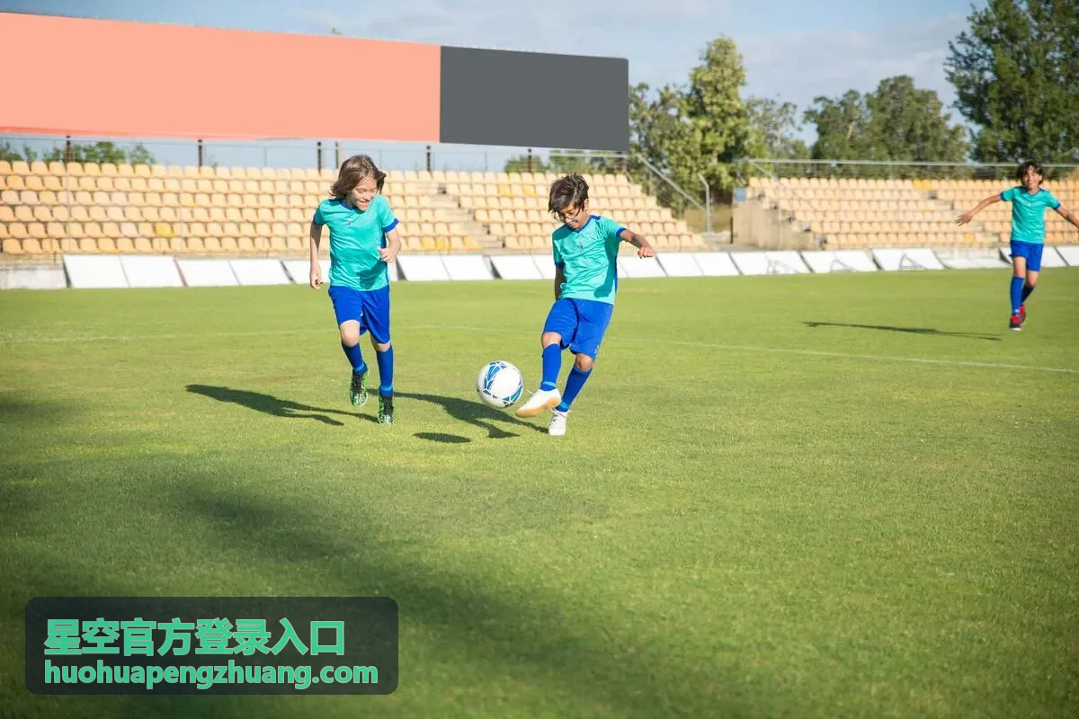 星空官方登录入口移动端通道示意