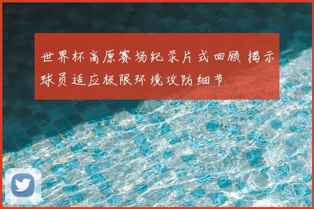 世界杯高原赛场纪录片式回顾 揭示球员适应极限环境攻防细节